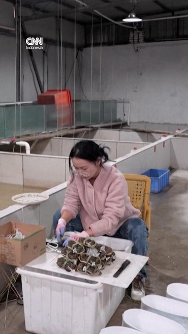 Cuaca Ekstrem China Hambat Perkembangan Kepiting Berbulu