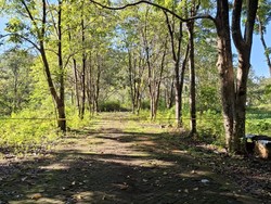 Duel Maut Sejoli di Taman Wisata Bantimurung Maros gegara Cemburu Buta