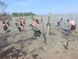 Gerakan Pramuka dan Polres Meranti Tanam Mangrove Wujudkan Green Policing Gerakan Pramuka dan Polres Meranti Tanam Mangrove Wujudkan Green Policing