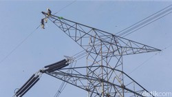 Viral Pria Panjat Kabel SUTET di Jaksel, Kini Selamat karena Tersangkut Pohon