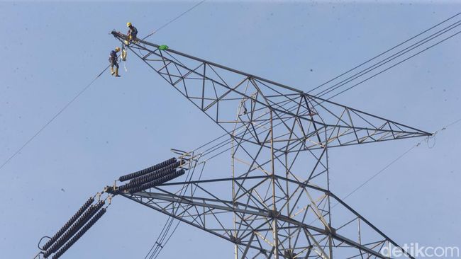 Viral Pria Panjat Kabel SUTET di Jaksel, Kini Selamat karena Tersangkut Pohon