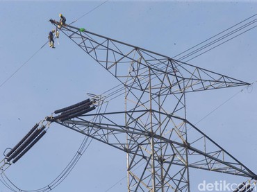 Viral Pria Panjat Kabel SUTET di Jaksel, Kini Selamat karena Tersangkut Pohon