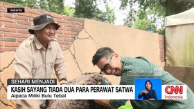 VIDEO: Kasih Sayang Tak Terbatas Para Perawat Satwa