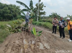 Kerap Bahayakan Warga Saat Hujan, Jalan Desa Lampah Gresik Diperbaiki