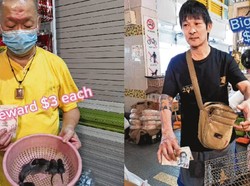 Unik! Pujasera Ini Beri Bonus Jutaan Rupiah Bagi yang Berhasil Tangkap Tikus