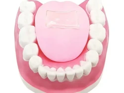 Tak Hanya Gigi, Lidah Ternyata juga Perlu Disikat