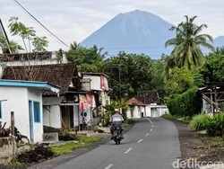 Gunung Semeru Erupsi 125 Kali dalam 24 Jam
