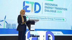 PLTS 100 GW Dinilai Bisa Jadi Kuda Hitam Transisi Energi Indonesia