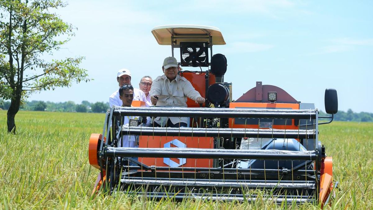 Produksi Beras 2025 Melonjak, Mentan Sebut Sinyal Kuat Swasembada