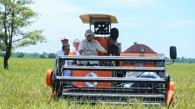 Produksi Beras 2025 Melonjak, Mentan Sebut Sinyal Kuat Swasembada