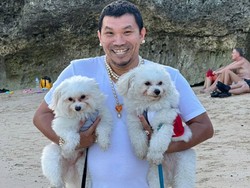 Cobaan Mongol Stres Ikhlaskan Piutang Rp 53 M dan Pindah ke Bali