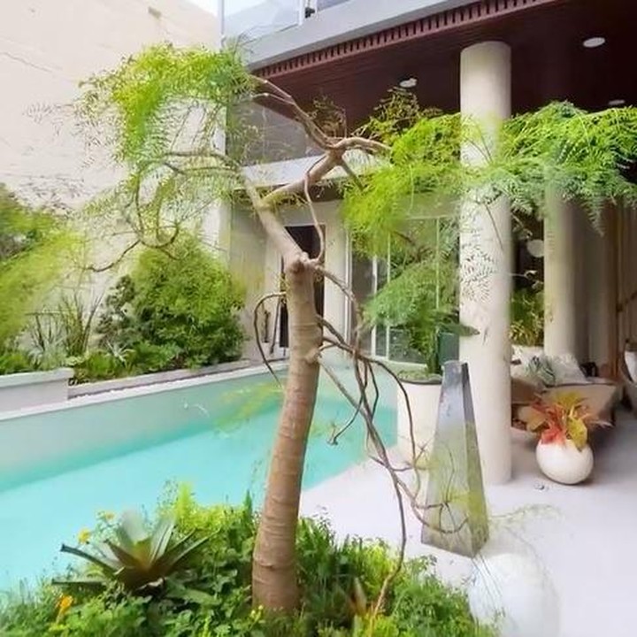 <p>Kolam renang ini mencuri perhatian karena dikelilingi dengan tanaman dan pohon kecil nan hijau. Rossa sengaja menanam dan banyak meletakan tanaman di pot karena menyukainya. "Aku suka banget tanaman, jadi aku sengaja bikin tamannya ini yang bisa dinikmati dan beberapa pohonnya itu adalah pohon yang lagi kekinian," ungkap Bunda satu anak ini. (Foto: Instagram @itsrossa910)</p>