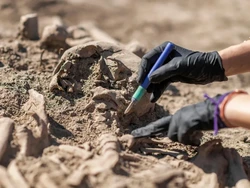 DNA Purba Ungkap Wabah Tertua di Dunia 6.500 Tahun Lalu, Berasal dari Hewan Apa?