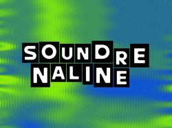 Digelar di 5 Kota, Soundrenaline 2025 Jadi Wadah Kolektif Kreativitas Bermusik