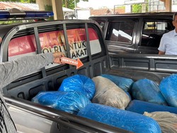 Maling Ikan Kambuhan di Waduk Darma Dijebloskan ke Penjara