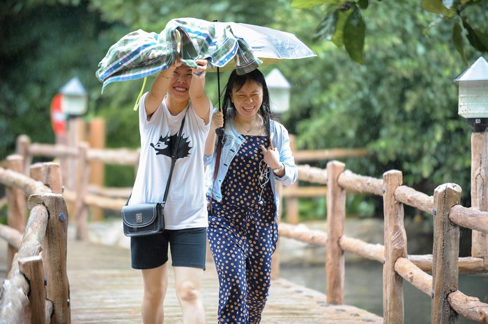 Pluviophile menghargai waktu. Mereka tidak mau menghabiskan waktu untuk hal-hal tidak berguna.