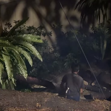 7 Potret Keadaan Rumah Jennifer Dunn Usai Ditimpa Pohon Besar Tumbang karena Hujan Angin