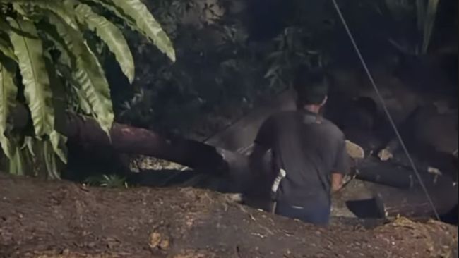 7 Potret Keadaan Rumah Jennifer Dunn Usai Ditimpa Pohon Besar Tumbang karena Hujan Angin