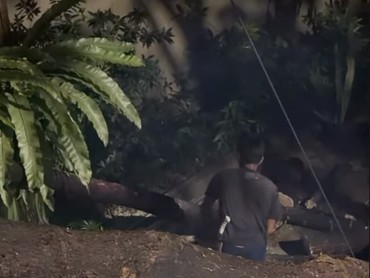 7 Potret Keadaan Rumah Jennifer Dunn Usai Ditimpa Pohon Besar Tumbang karena Hujan Angin