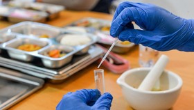 BGN Resmi Tutup Portal Mitra Dapur MBG Hari Ini