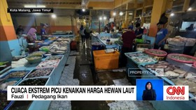 VIDEO: Cuaca Ekstrem Picu Kenaikan Harga Hewan Laut