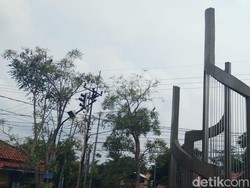 Si Hitam dari Majalengka Bakal Jadi Warisan Budaya Takbenda Jabar