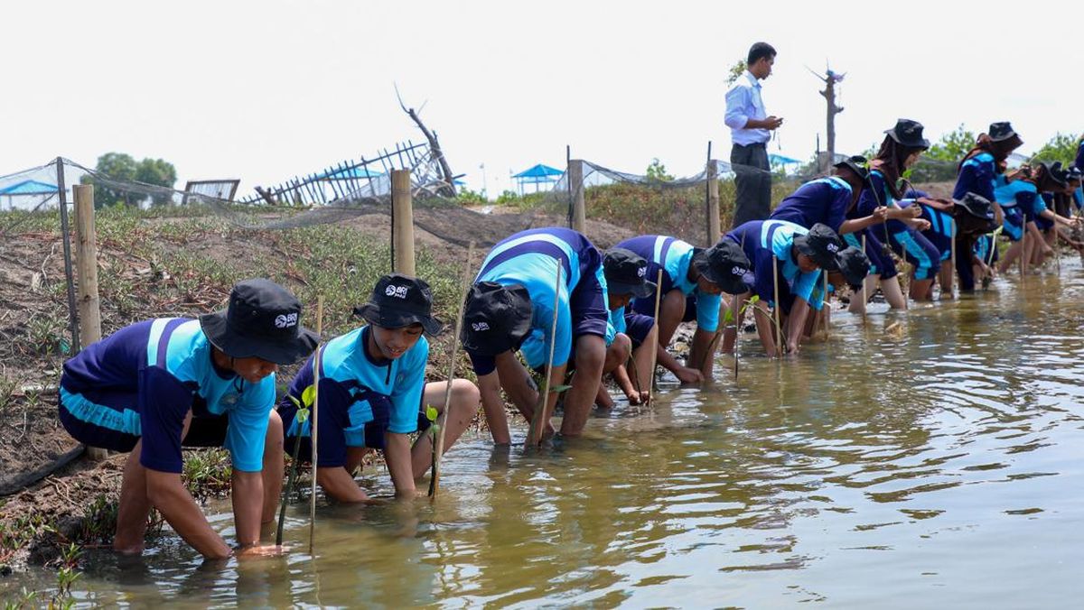 BRI Peduli Ajak Pelajar Tanam Mangrove dan Kelola Limbah Plastik