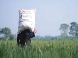 Mentan Cabut Izin 190 Pengecer Pupuk Langgar Aturan HET