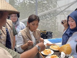 Menteri Komdigi Cek Panen Melon Hidroponik dengan IoT di Sragen