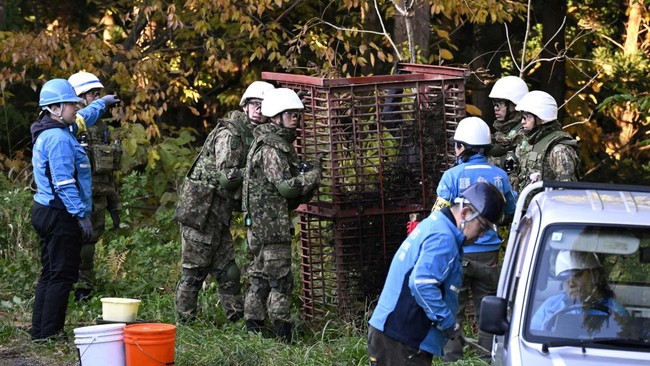 Jepang Darurat! Warga Ketakutan 'Ancaman' Baru dari Dalam Hutan