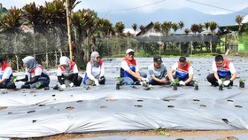 Wujud TJSL, Pertamina Edukasi soal Keberlanjutan Energi