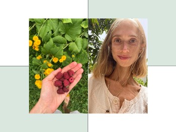 Diet Sehat Berujung Maut: Pelajaran dari Kisah Karolina Krzyzak