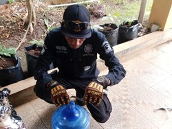 Pagi Mencekam Saat Rumah Warga di Kuningan Diserbu Lima Ular