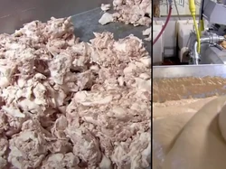 Rahasia Pabrik Hot Dog Ini Terkuak, Pakai 3 Daging Hewan Berbeda