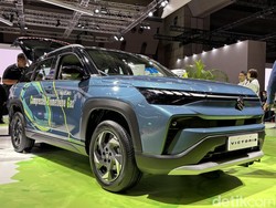 Kendaraan Hijau Tak Cuma EV, Gas dari Kotoran Ternak Bisa Jadi Bahan Bakar