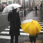 Hati-Hati, 7 Tempat yang Perlu Dihindari untuk Berteduh saat Hujan