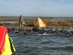 Turis Terdampar di Pulau Kosong, Bertahan 2 Hari Tanpa Makan dan Minum