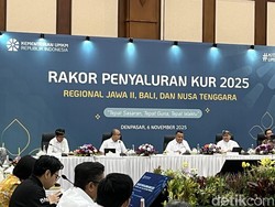 Wamen UMKM Jelaskan Alasan KUR di Bawah Rp 100 Juta Masih Diminta Agunan