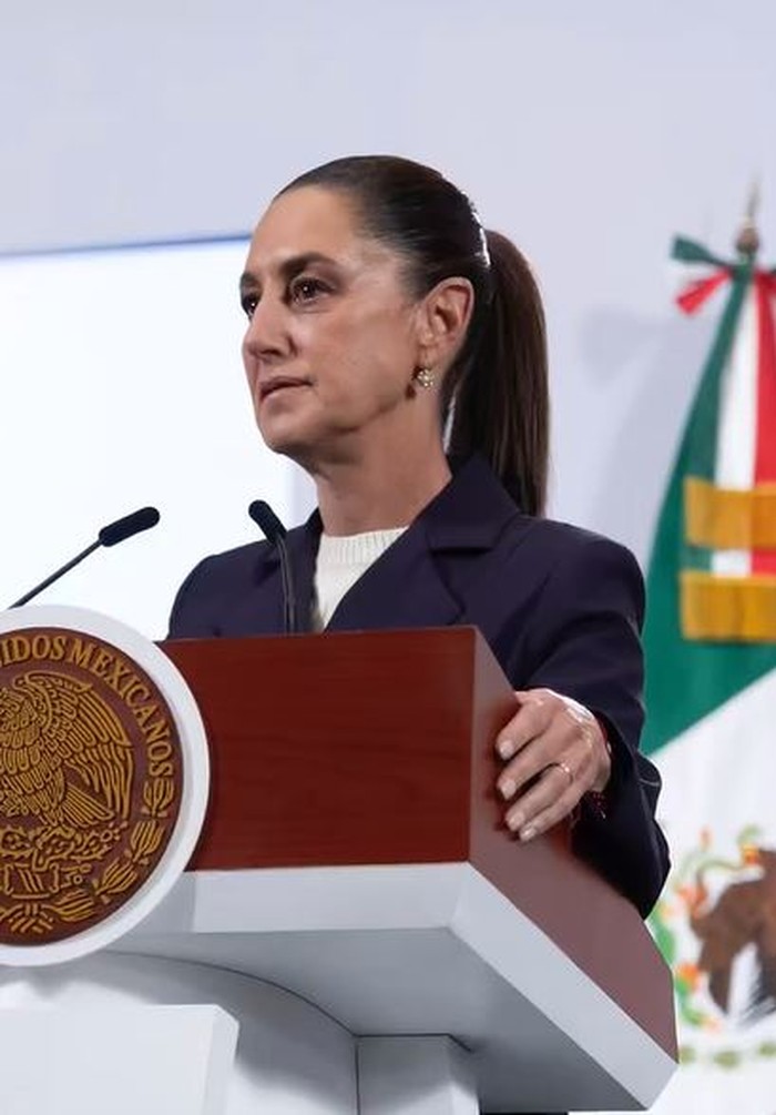 Presiden Meksiko Claudia Sheinbaum alami pelecehan seksual saat sapa warga di jalan. Tak tinggal diam, ia langsung mengajukan tuntutan.