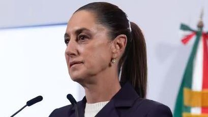 Presiden Meksiko Claudia Sheinbaum alami pelecehan seksual saat sapa warga di jalan. Tak tinggal diam, ia langsung mengajukan tuntutan.