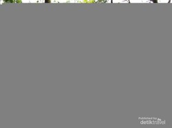 Pecinta Alam Wajib Tahu, Tempat Outbound Seru di Kota Bandung