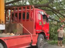 Truk Kontainer Tabrak Pohon hingga Tumbang di Jalan Perintis Makassar