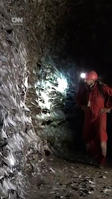 Temuan Jaring Laba-laba Terbesar di Dunia, Rumah 100 Ribu Laba-laba