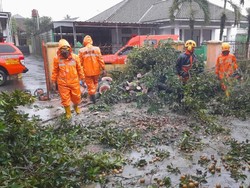 Dihempas Bencana Hidrometeorologi, 53 Rumah Rusak-36 Pohon Tumbang di Tasik