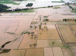 27.000 Ha Lahan Sawah di Sumut-Aceh Terendam Banjir
