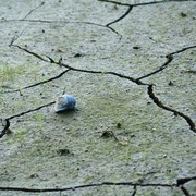 Peringatan BMKG! 3 Zona di Indonesia Berpotensi Gempa Megathrust