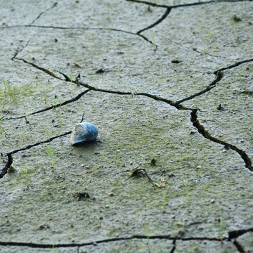 Peringatan BMKG! 3 Zona di Indonesia Berpotensi Gempa Megathrust