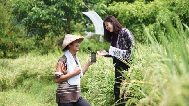 Sebanyak 45,9 persen responden survei yang dilakukan BRI Research Institute melaporkan kenaikan omzet di kisaran 5-15 persen, hingga level dobel digit.