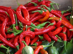 Harga Sembako Jogja Hari Ini 10 November 2025: Cabai Merah Besar Melesat Naik!