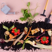 Jangan Langsung Dibuang! 8 Cara Membuat Pupuk Kompos dari Sampah Dapur